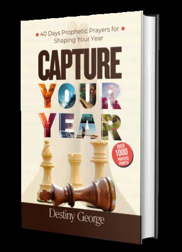 Capture Your Year by 
