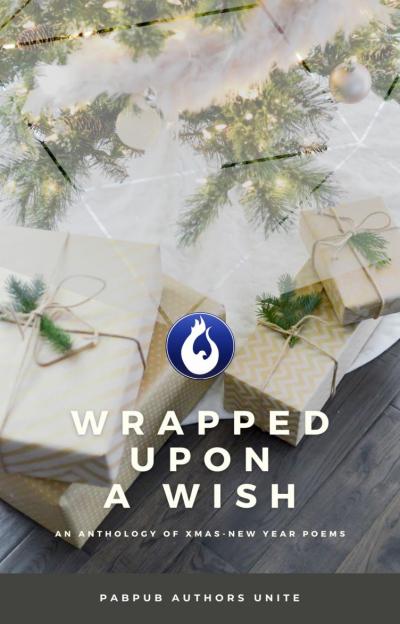 Wrapped Upon A Wish